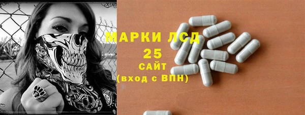 mdpv Гатчина