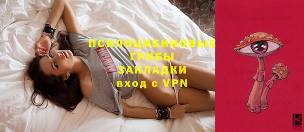 прущая мука Нея