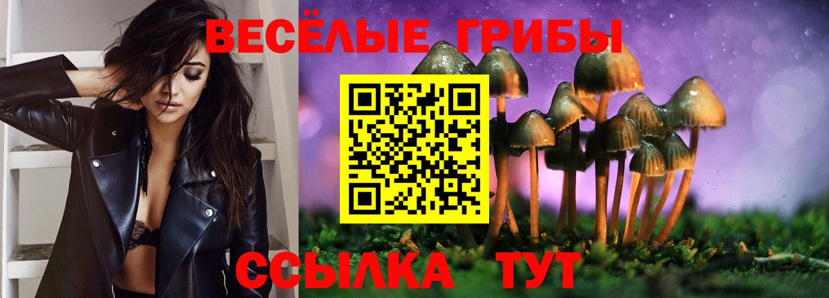 Галлюциногенные грибы прущие грибы  Вход с VPN  цена   Ревда 
